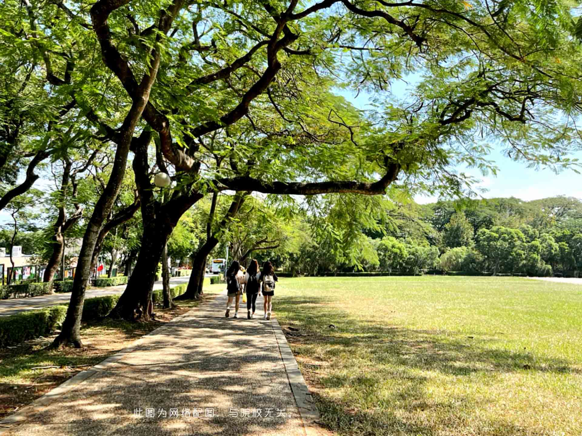 上海理工大學(xué)-校園風(fēng)景