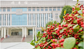 南京航空航天大學金城學院