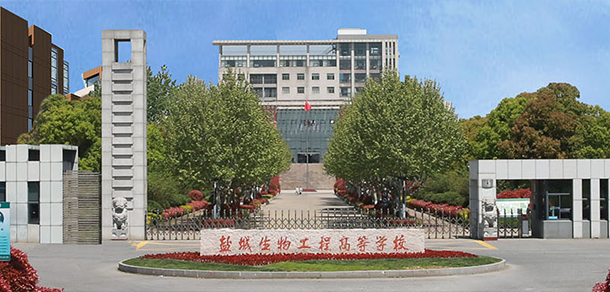 我的大學(xué)-大學(xué)志