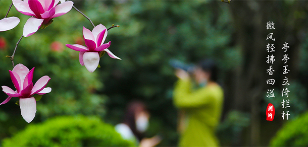 湖州師范學(xué)院 - 最美大學(xué)