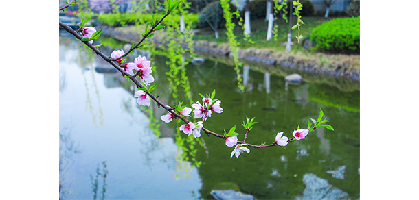 浙江水利水電學(xué)院