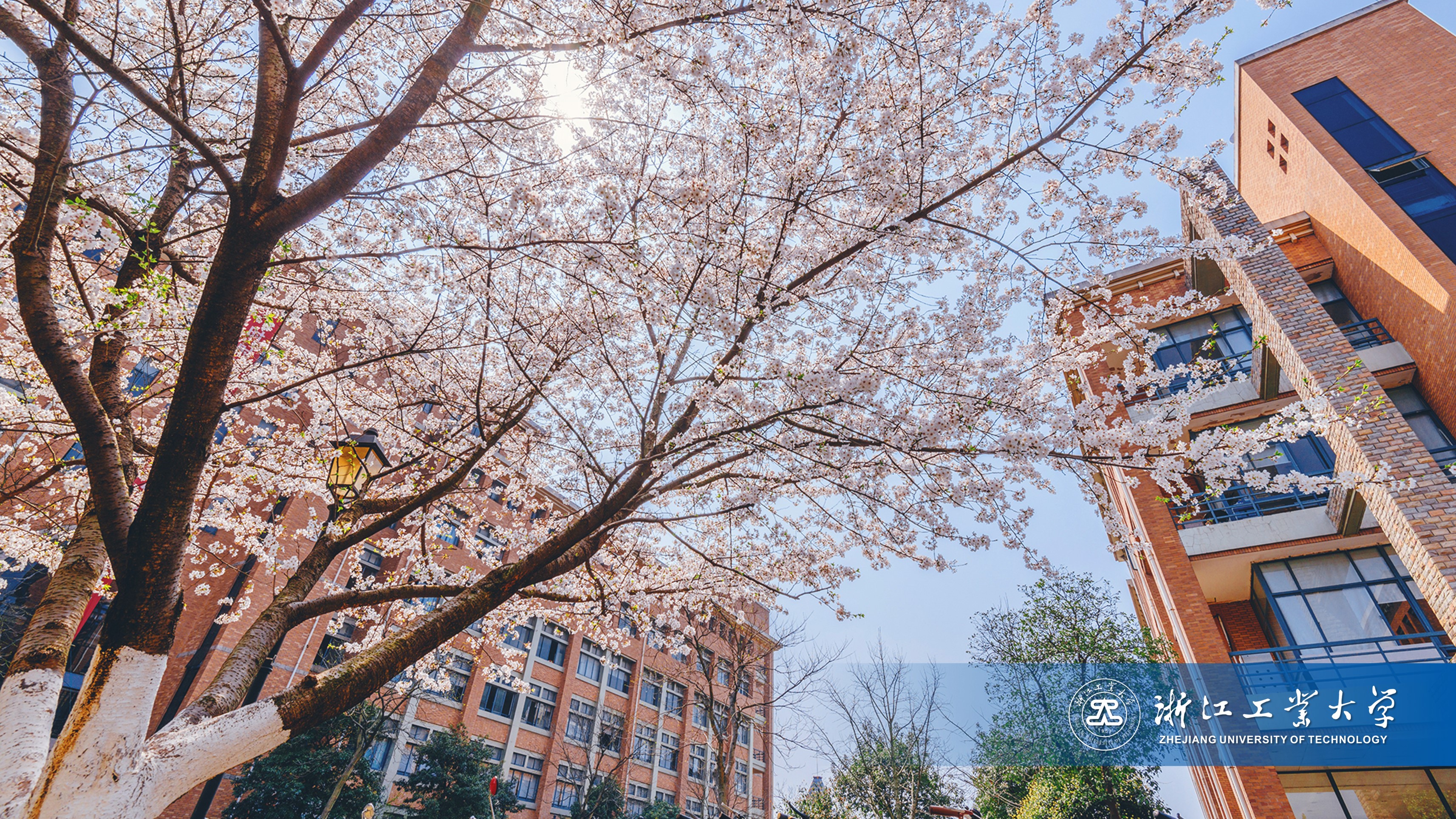 浙江工業(yè)大學 早安青春