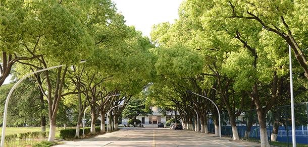 巢湖學(xué)院