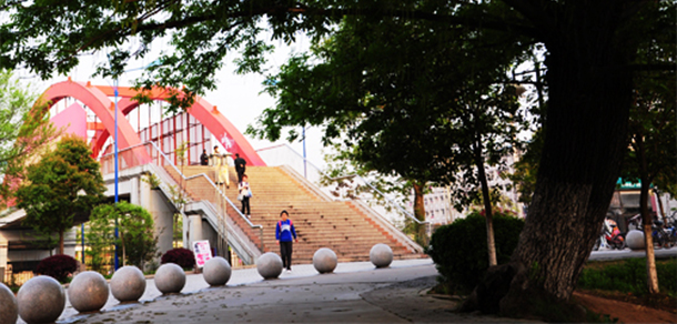 安徽科技學院 - 最美大學