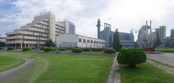 安徽大學(xué)江淮學(xué)院