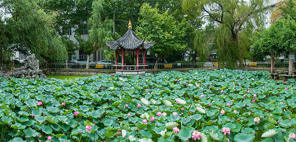 安徽大學(xué)江淮學(xué)院