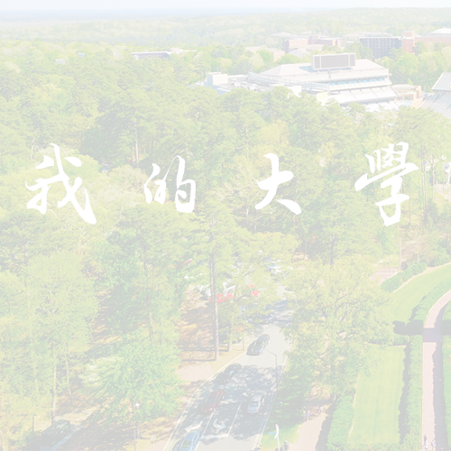 合肥城市學院 - 書行山海 落筆芳華