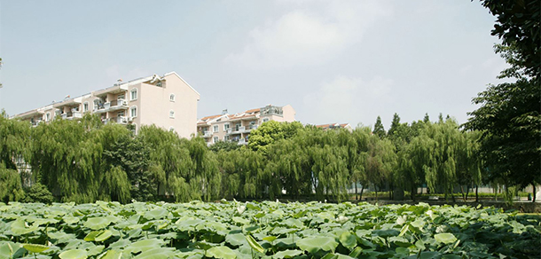 安徽交通職業(yè)技術(shù)學(xué)院 - 最美院校