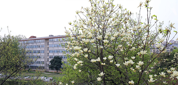 池州職業(yè)技術(shù)學(xué)院 - 最美大學(xué)