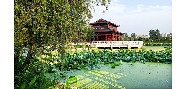 安慶職業(yè)技術學院