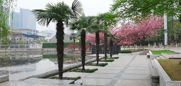 安徽郵電職業(yè)技術(shù)學院