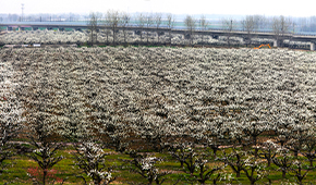 蚌埠經(jīng)濟(jì)技術(shù)職業(yè)學(xué)院