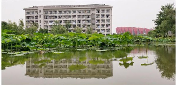 銅陵職業(yè)技術學院