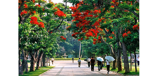 廈門大學