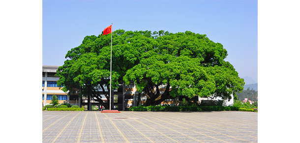 龍巖學(xué)院