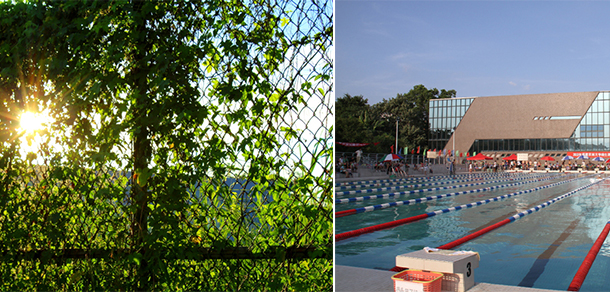 福建農林大學金山學院 - 最美大學