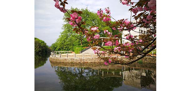 贛東學院