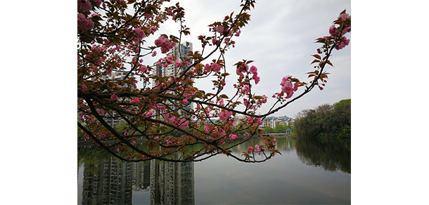 贛東學(xué)院