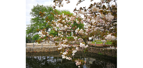 贛東學(xué)院 - 最美大學(xué)