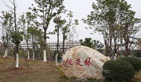 江西師范大學科學技術(shù)學院 - 最美印記