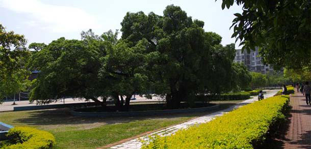 贛南師范大學(xué)科技學(xué)院