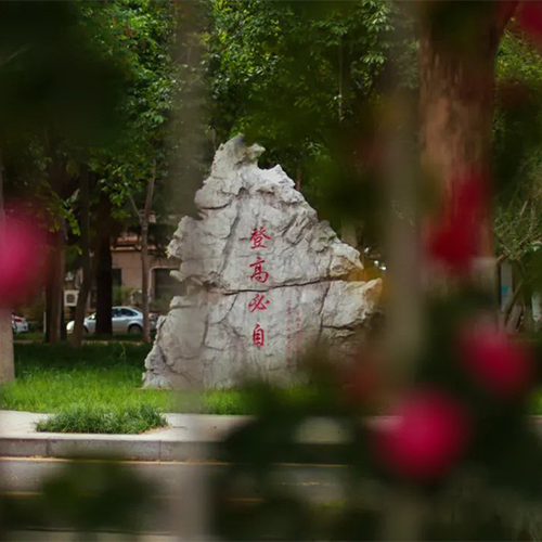 大學(xué)簡介