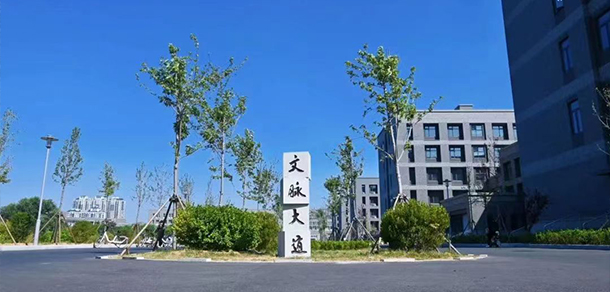 山東師范大學(xué)