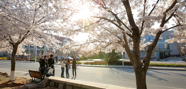 中國海洋大學(xué)