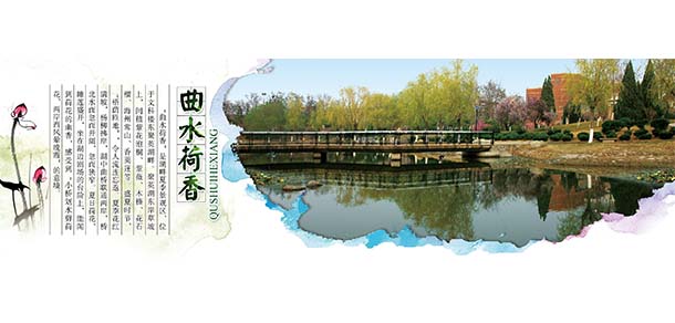 山東航空學(xué)院 - 最美院校