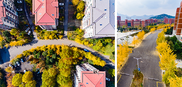 山東科技大學(xué) - 最美大學(xué)