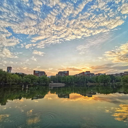 山東科技大學(xué)-早安青春