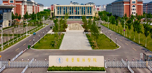 我的大學(xué)-大學(xué)志