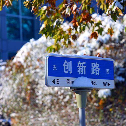 最美大學(xué)