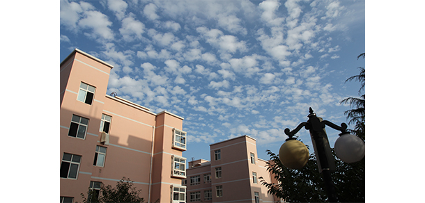 青島科技大學(xué)