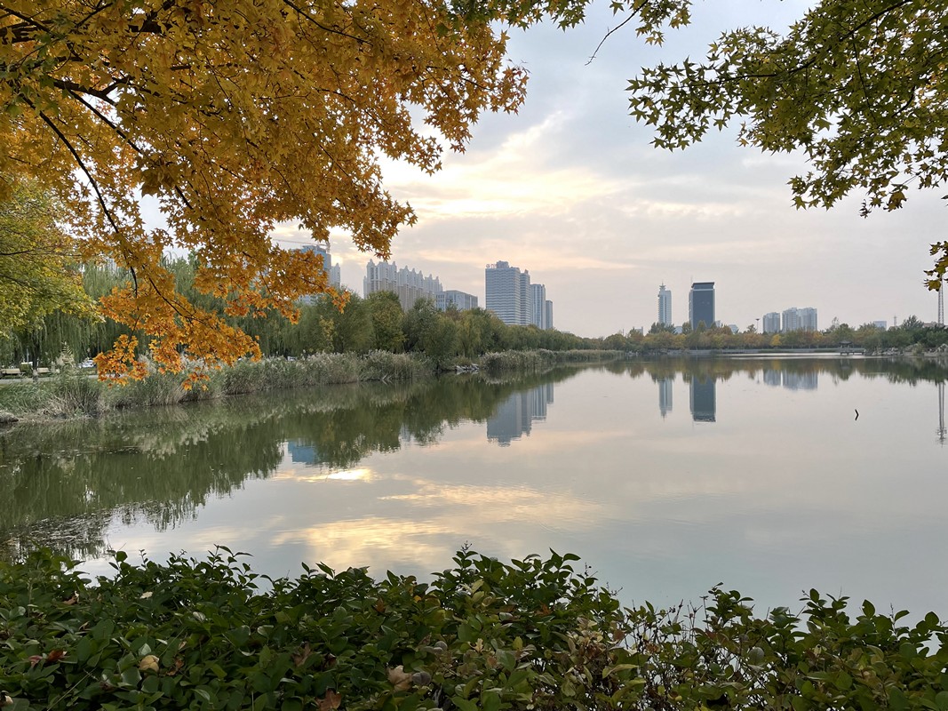 山東石油化工學(xué)院 我的大學(xué)