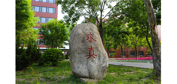 山東華宇工學(xué)院