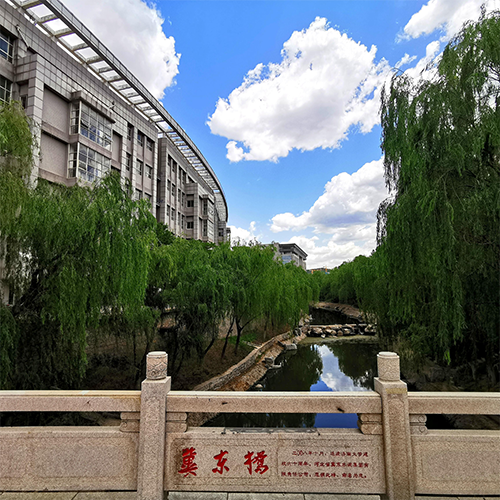 我的大學(xué)