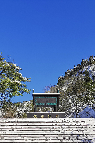 山東政法學(xué)院