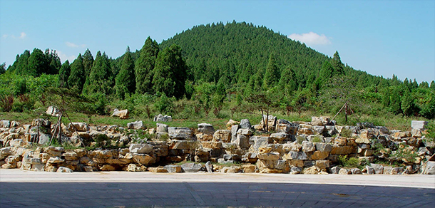 山東建筑大學 - 最美大學