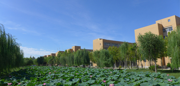 東營職業(yè)學院 - 最美大學