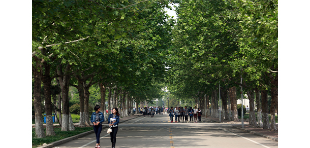 聊城職業(yè)技術學院 - 最美大學