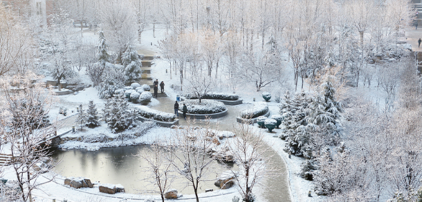 山東職業(yè)學院 - 最美大學