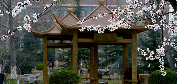 山東職業(yè)學院 - 最美大學