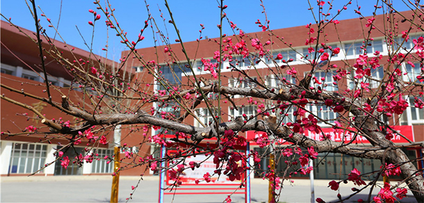 黃河交通學(xué)院