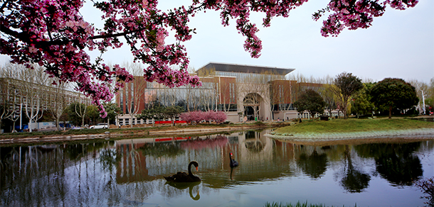 商丘學(xué)院