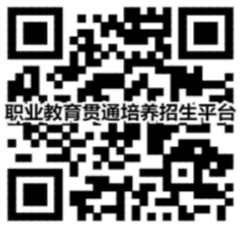 二維碼在線進行報考、計劃查詢、錄取查詢