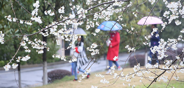 南華大學 - 最美大學