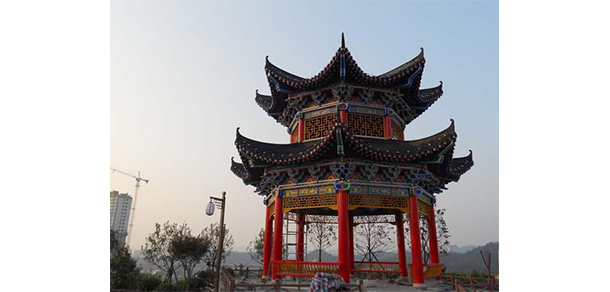 湖北醫(yī)藥學(xué)院