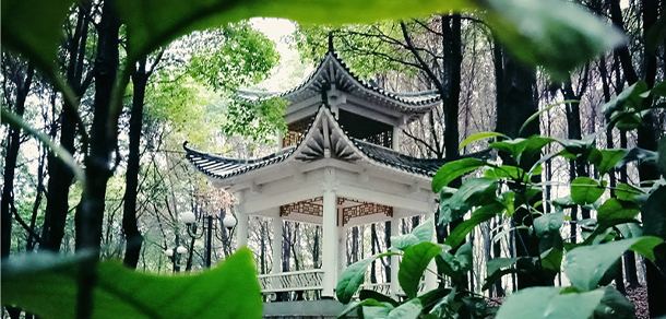 武漢東湖學(xué)院 - 最美大學(xué)