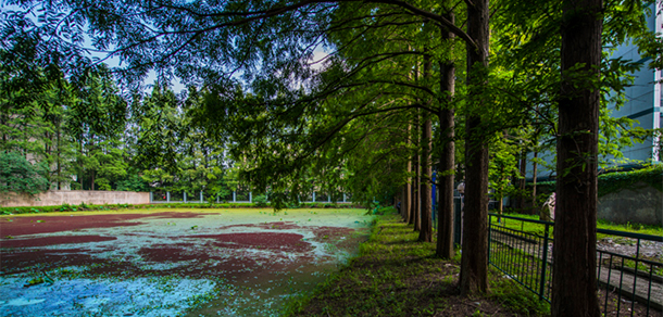 湖北大學(xué)知行學(xué)院 - 最美大學(xué)